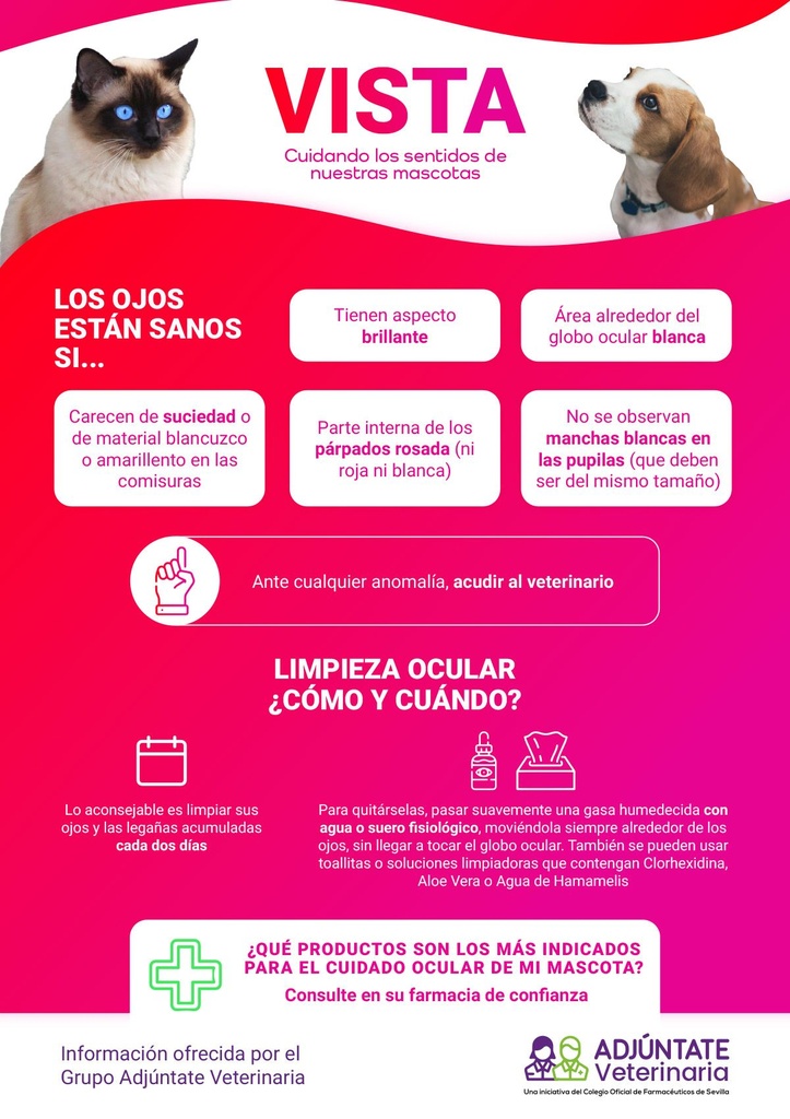 Tips - imagen 3