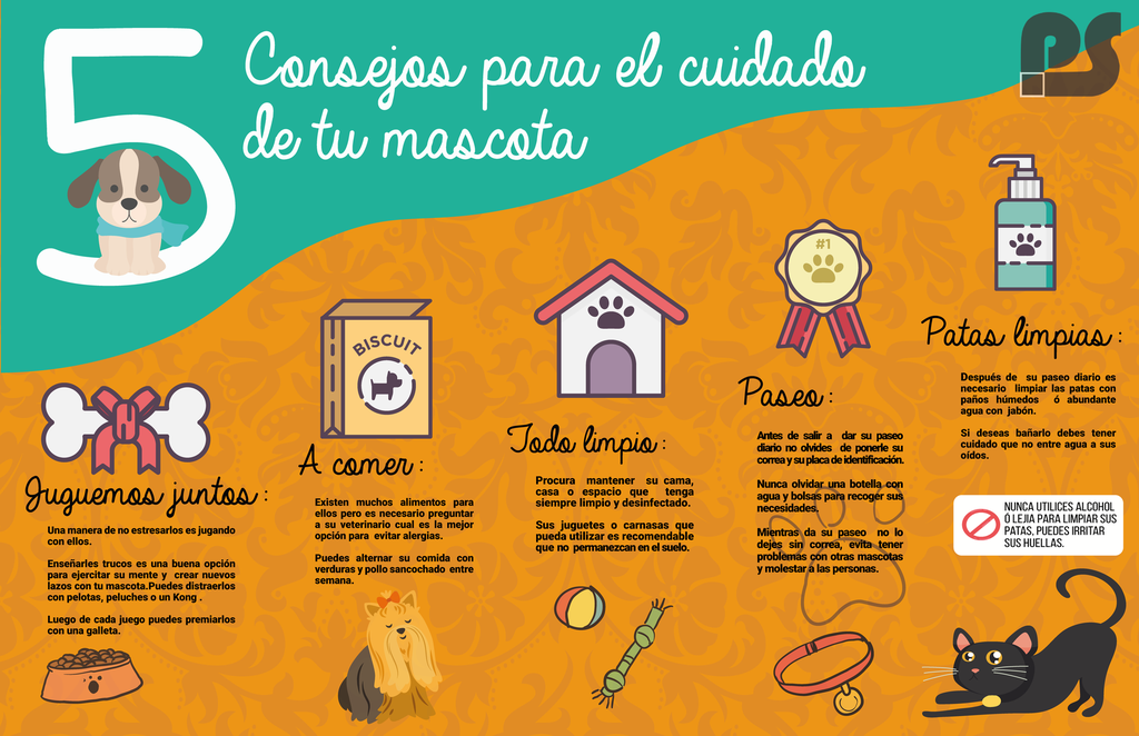 Tips - imagen 4