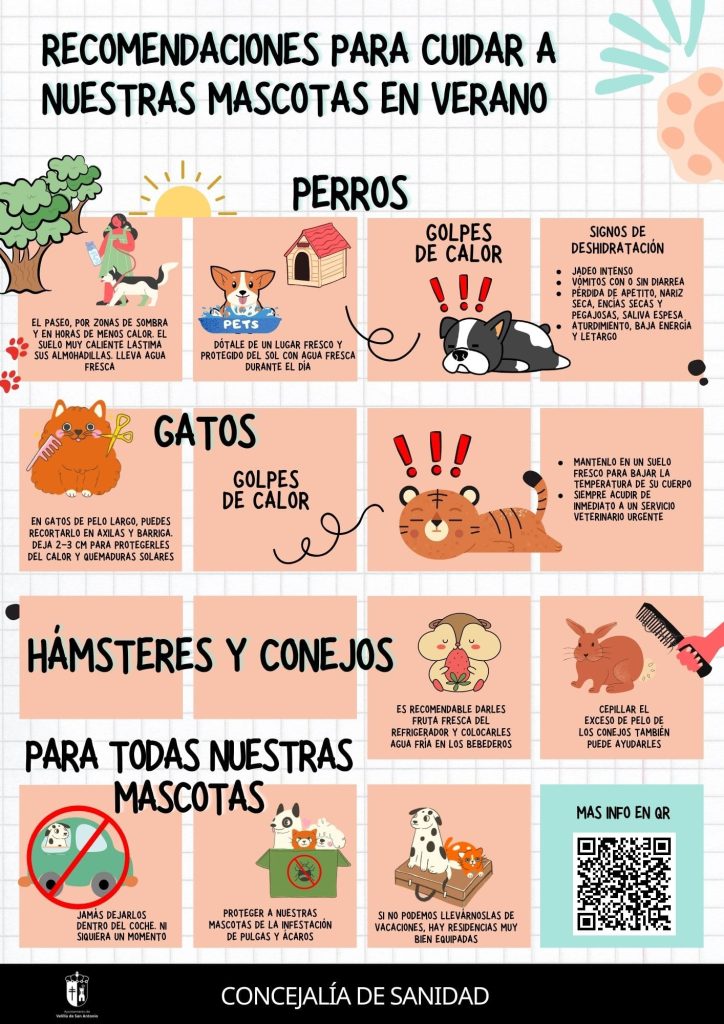 Propinas