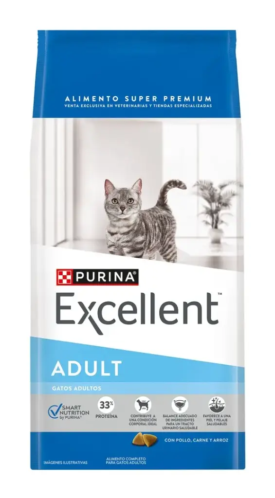 Excellent Gato Castrado