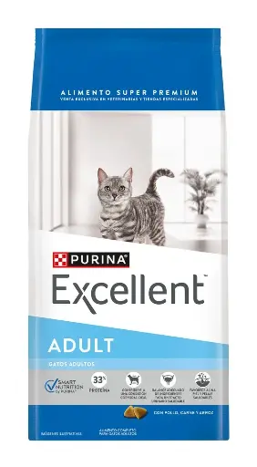 Excellent Gato Castrado